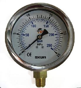 60錶盤，立式，充油壓力表