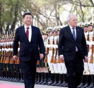 創新戰略夥伴關係