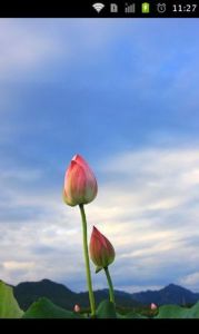 山水風景 山水風景