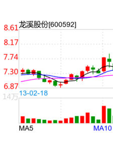 龍溪股份 龍溪股份