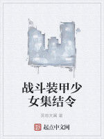 戰鬥裝甲少女集結令 戰鬥裝甲少女集結令