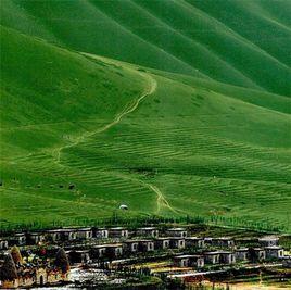 它山泊村 它山泊村