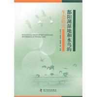 鄱陽湖濕地和水鳥的生態研究 鄱陽湖濕地和水鳥的生態研究