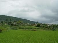 小羊邑自然村 小羊邑自然村