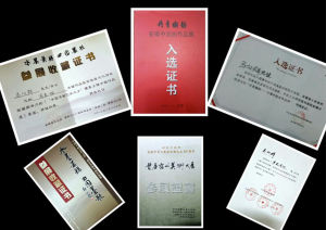 馬向群先生獲得的部分榮譽證書