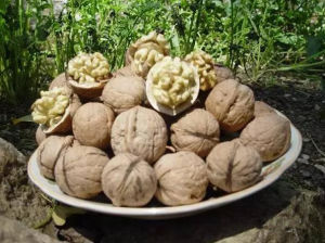 隴南核桃 隴南核桃