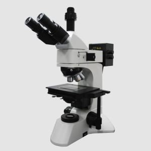 微分干涉顯微鏡 微分干涉顯微鏡