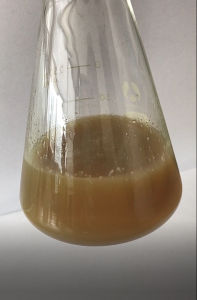 植物免疫誘抗劑 植物免疫誘抗劑