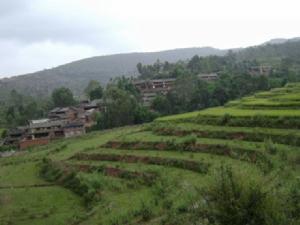 力古董村 力古董村