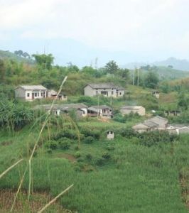 丫口新寨自然村 丫口新寨自然村