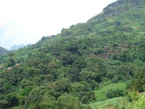 二抬坡村 二抬坡村