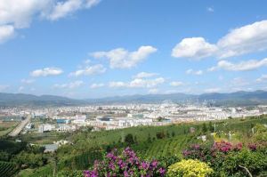 鎮沅彝哈尼拉祜縣 鎮沅彝哈尼拉祜縣