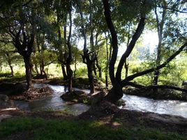 青龍河[雲南省麗江青龍河]