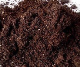 有機化肥 有機化肥