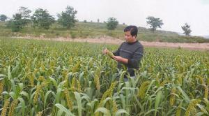 壽陽縣鳳明山莊生態開發有限公司