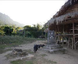 哥里西娘 哥里西娘