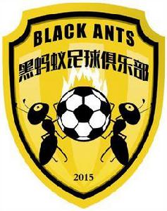 株洲市黑螞蟻足球俱樂部 株洲市黑螞蟻足球俱樂部