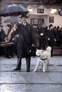 忠犬八公[同名電影]