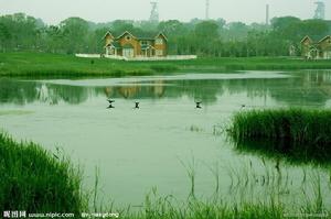 南湖公園[唐山市南湖公園]