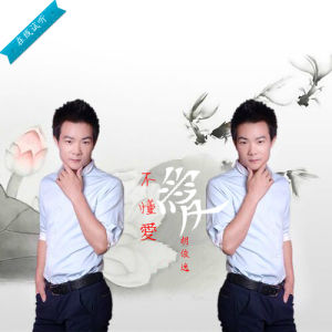 不懂愛的人是我 不懂愛的人是我