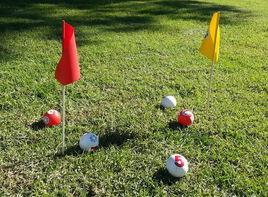 高智爾球 高智爾球