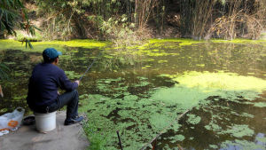 開展【馬鞍溪污染調查】