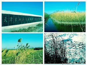 海洋自然保護區