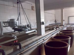 景縣艷東澱粉廠