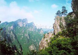 南陽市黃石庵林場 南陽市黃石庵林場