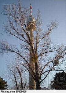 多瑙河塔 多瑙河塔