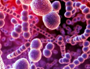 幽門螺旋桿菌陽性