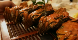 陽澄湖大閘蟹蟹券 陽澄湖大閘蟹蟹券