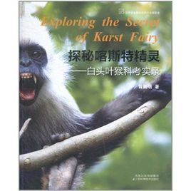 探秘喀斯特精靈:白頭葉猴科考實錄 探秘喀斯特精靈:白頭葉猴科考實錄