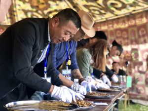 那曲魅力蟲草節