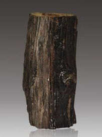 海南沉香 海南沉香