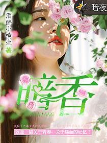 暗香[暗夜文學網小說]