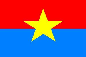 南越南共和國 國旗