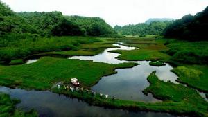 代河村[四川省雅安市雨城區宴場鎮代河村]