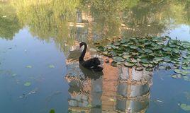 東湖·楚世家 東湖·楚世家