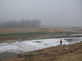 楊莊鄉[德州市武城縣楊莊鄉]