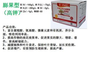 膨果型腐植酸水溶肥