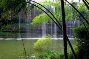 湖北三峽竹海 湖北三峽竹海