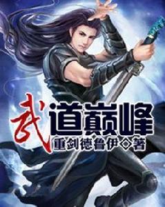 武道巔峰[同名小說]