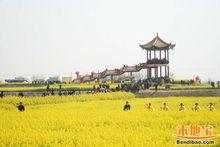 荊門油菜花旅遊節