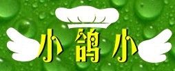 小鴿小logo