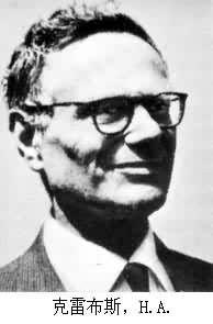 漢斯·阿道夫·克雷布斯 漢斯·阿道夫·克雷布斯