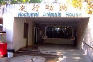 北京動物園夜行動物館 北京動物園夜行動物館