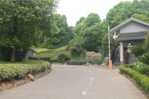 浙江年年紅家居有限公司