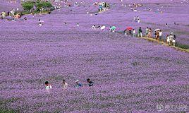 溫嶺城南鎮 溫嶺城南鎮