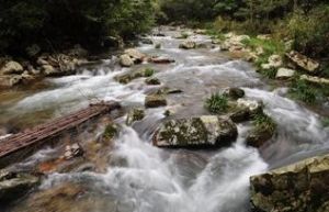 井岡山水口 井岡山水口